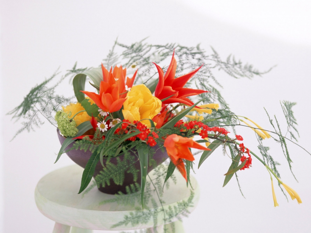室内花 第七辑