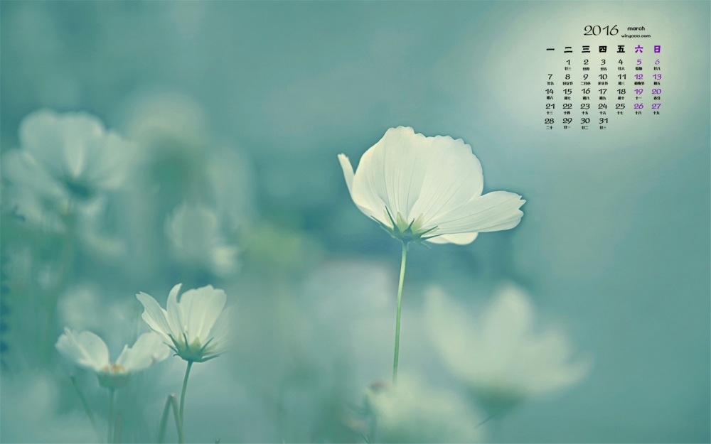 2016年3月日历唯美小清新桌面壁纸