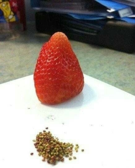 超无聊搞笑图片