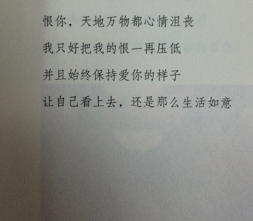 你和我处在同一片段里