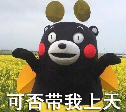 表情包。
