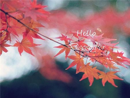 十二月你好的图片大全精选 Hello December唯美高清图片