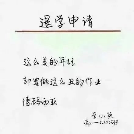 我的退学申请这么写