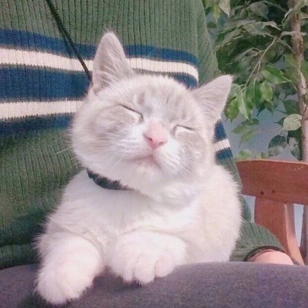 原来是少女心吖