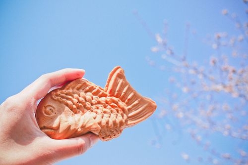 刻在记忆里的那个夏天   清新唯美图片