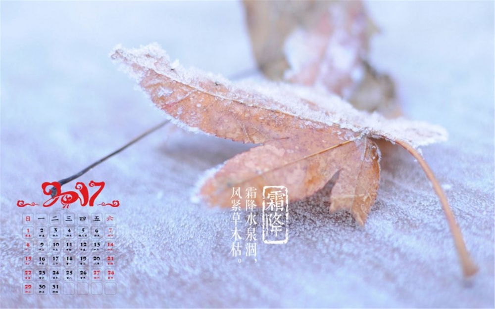 2017年1月日历冬季雪景高清电脑桌面壁纸下载