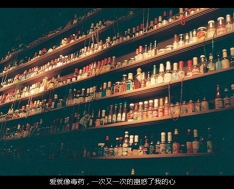 等待的时候，不要期望有回报 伤感文字图片