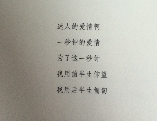 你和我处在同一片段里