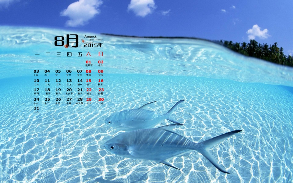 2015年8月日历精选唯美海洋风景电脑桌面壁纸下载