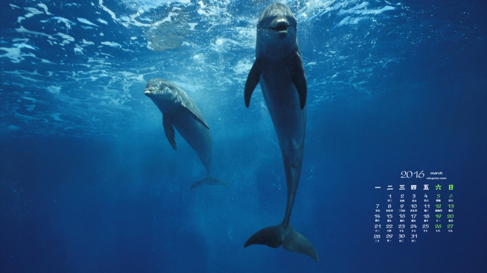 2016年3月日历海洋生物桌面壁纸