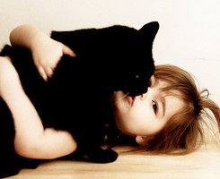 喜欢猫猫的戳进来了
