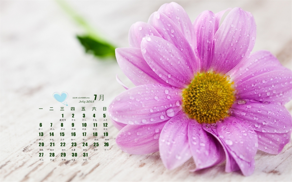 2015年7月日历壁纸娇艳欲滴的鲜花图片高清下载