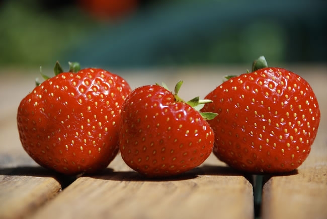 三颗红色草莓高清图片