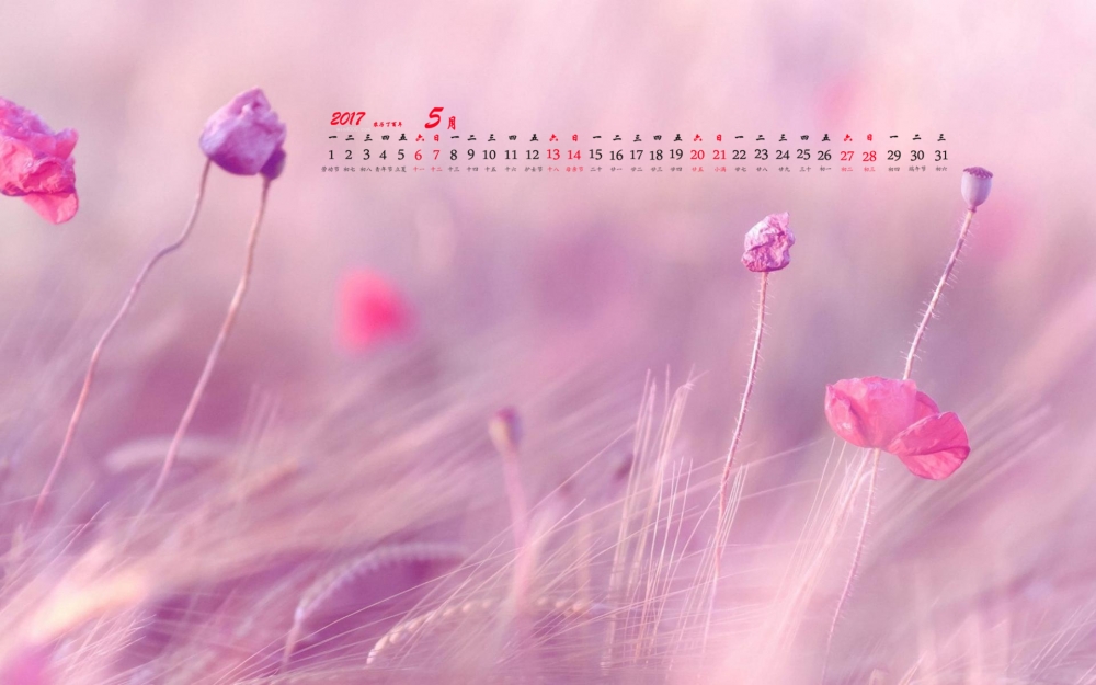 2017年5月清新唯美植物花卉日历壁纸