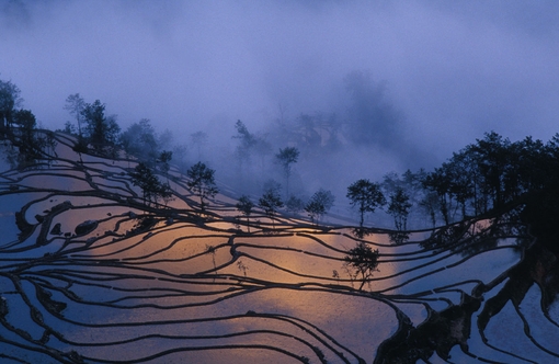 农村的靓丽风景线 梯田图片美景