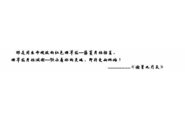 花落相思尽 〆