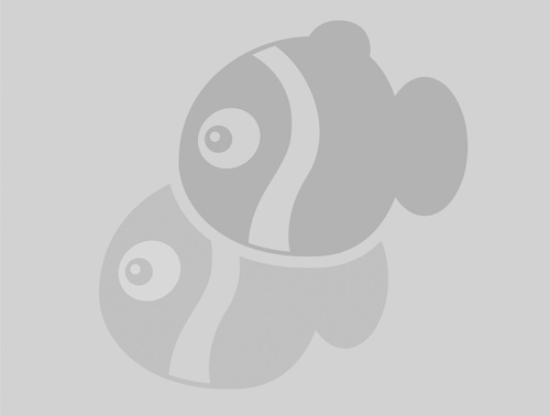 庐山瀑布图片免费电脑桌面
