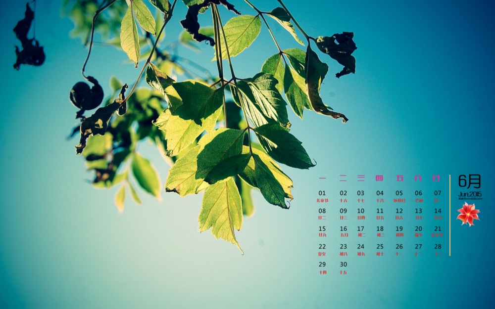2015年6月日历精选高清树叶绿色护眼桌面壁纸下载