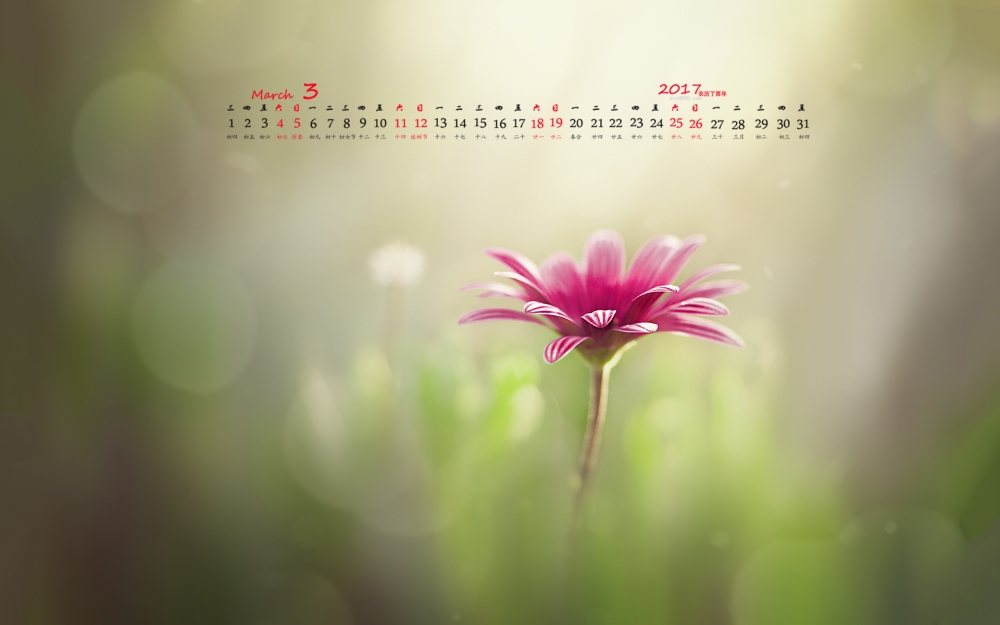 2017年3月唯美简约花朵日历壁纸