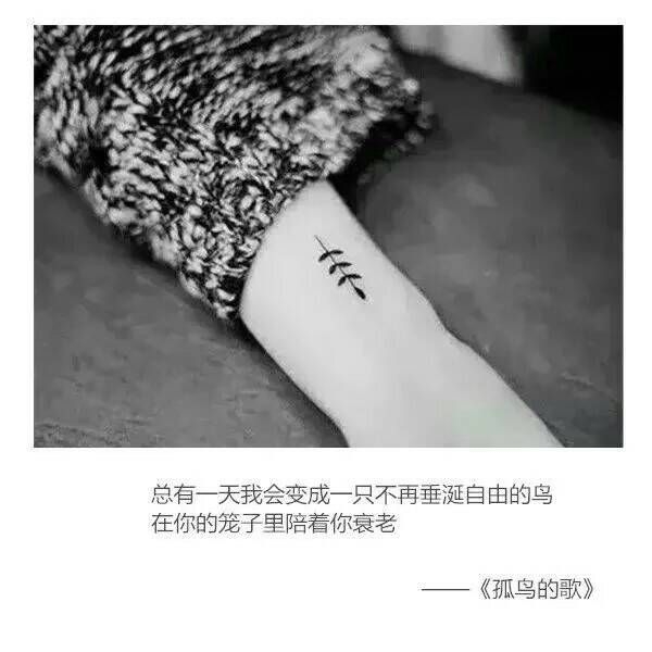 ins 图聊 歌词说