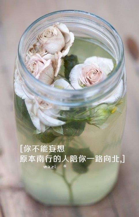 我会留一头长发 向你微笑告诉你我很好