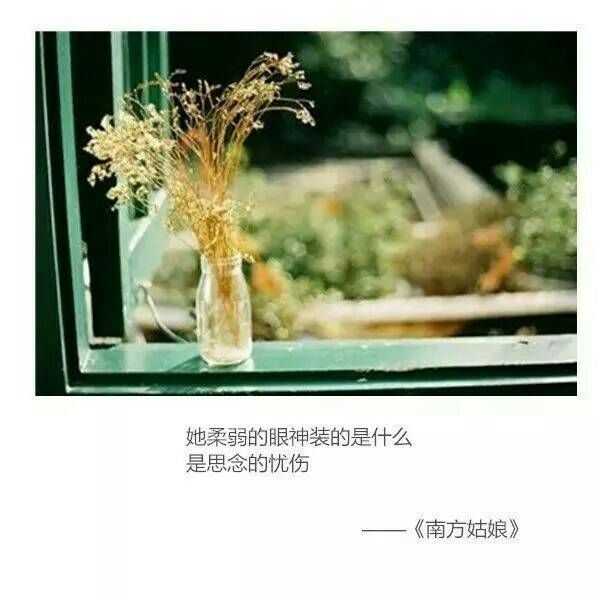 ins 图聊 歌词说