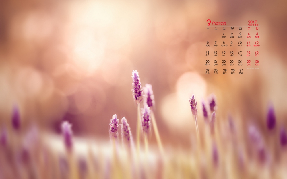 2017年3月唯美简约花朵日历壁纸