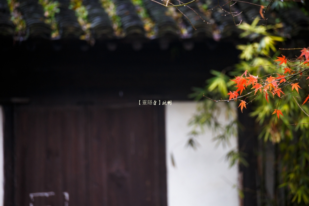 杭州灵隐寺秋色美景