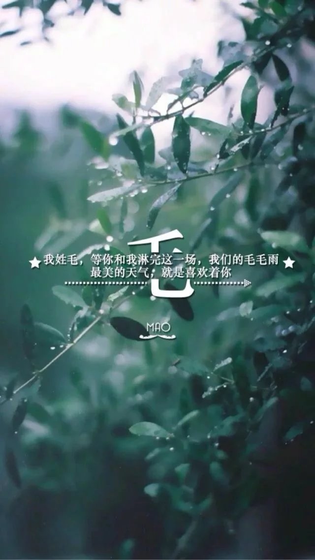 白洛冉：姓氏图