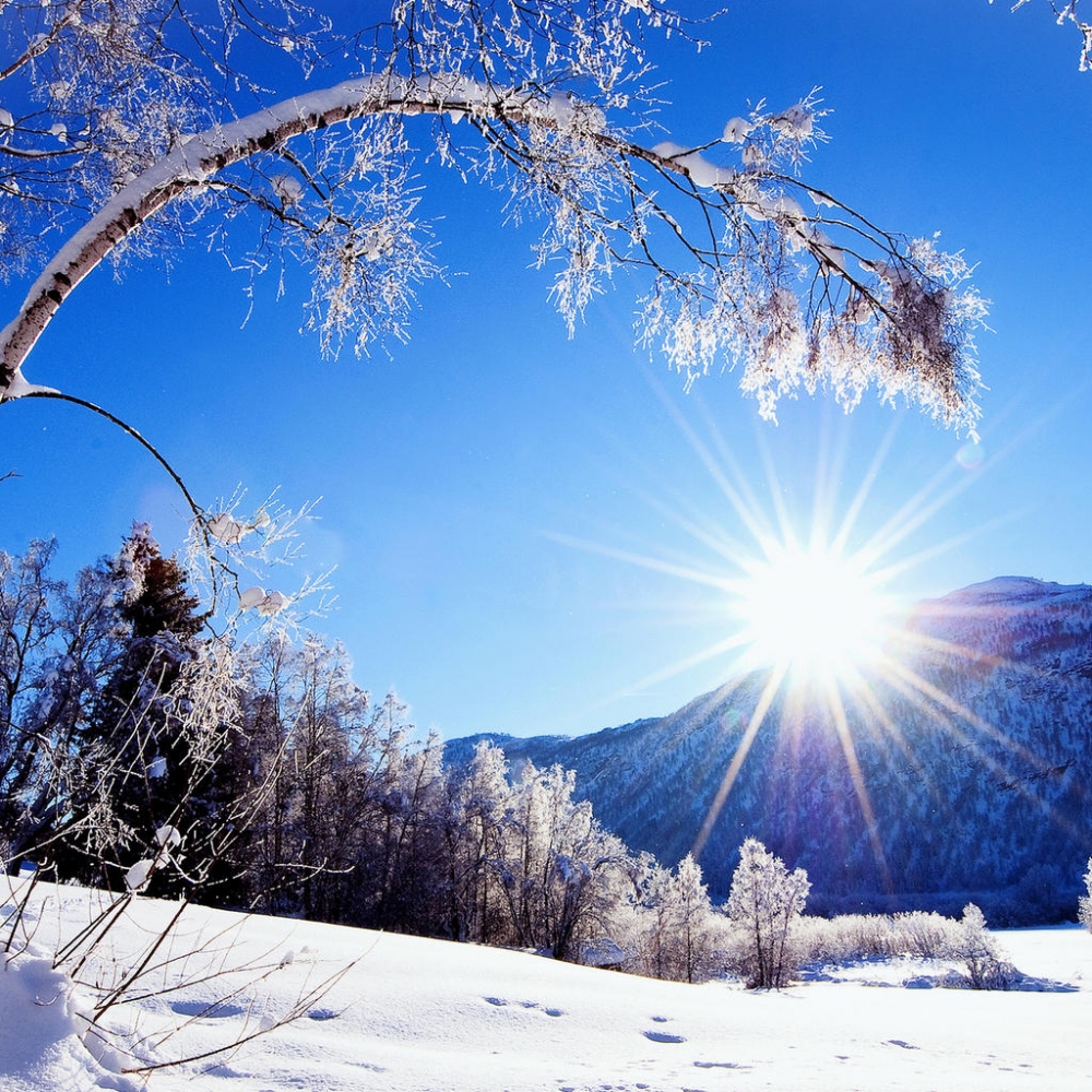 冬季雪景电脑壁纸高清