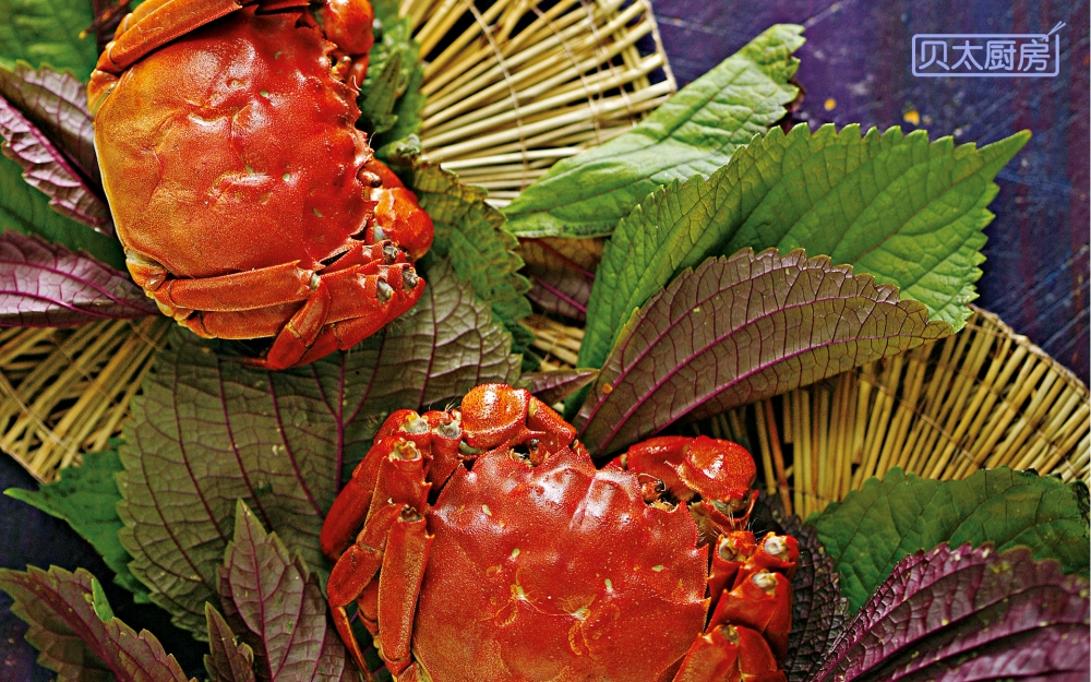 特色中国菜美味佳肴私房菜美食高清桌面壁纸