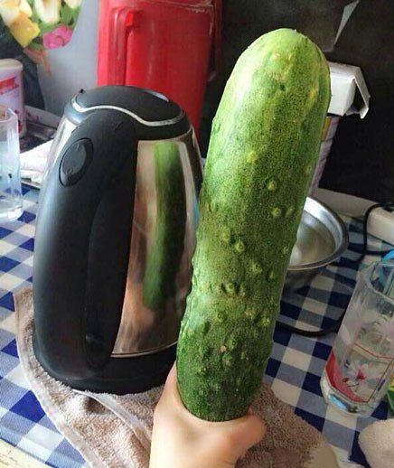 有此瓜 还有啥男朋友