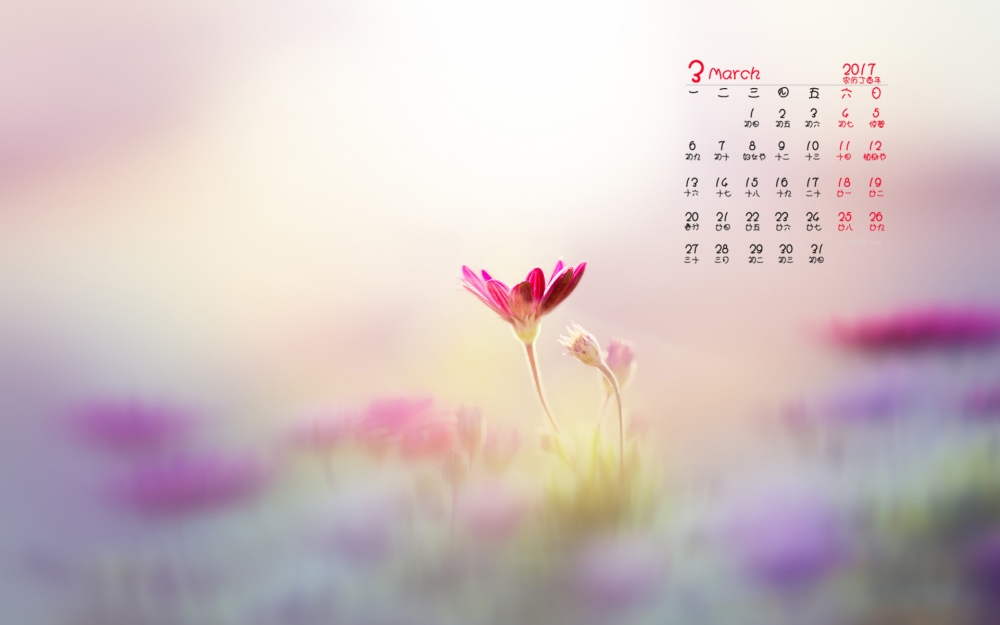 2017年3月唯美简约花朵日历壁纸