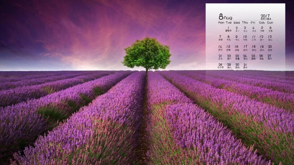 2017年8月绿色植物唯美高清日历