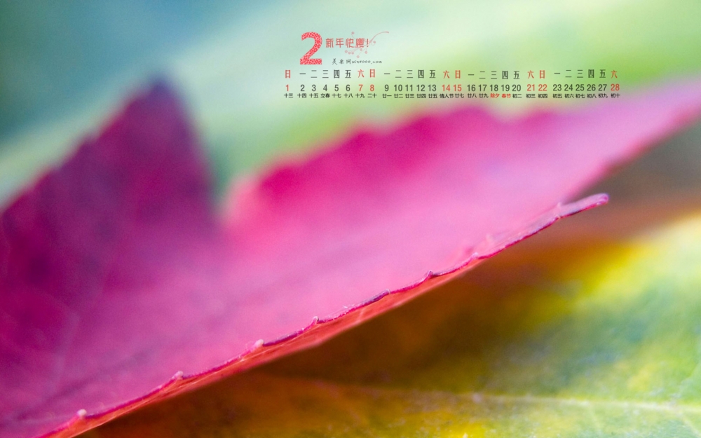2015年2月日历壁纸精选秋天的落叶唯美意境图片下载第三辑