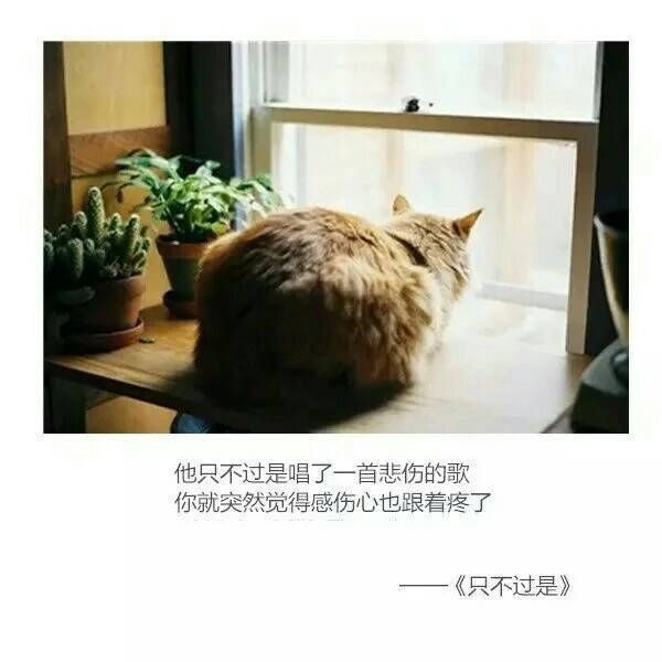 ins 图聊 歌词说