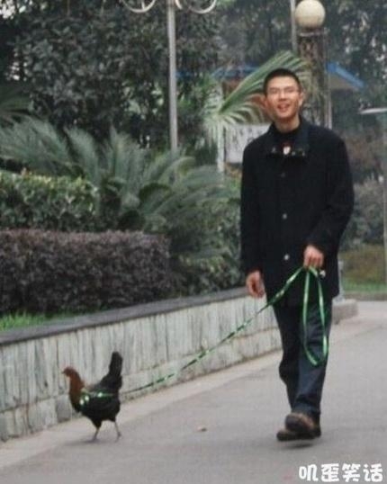 每天搞笑逗比福利图片总有一张戳中你的笑点