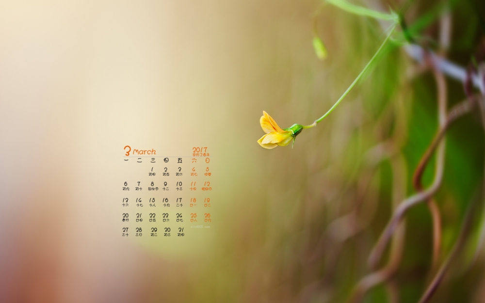2017年3月唯美简约花朵日历壁纸