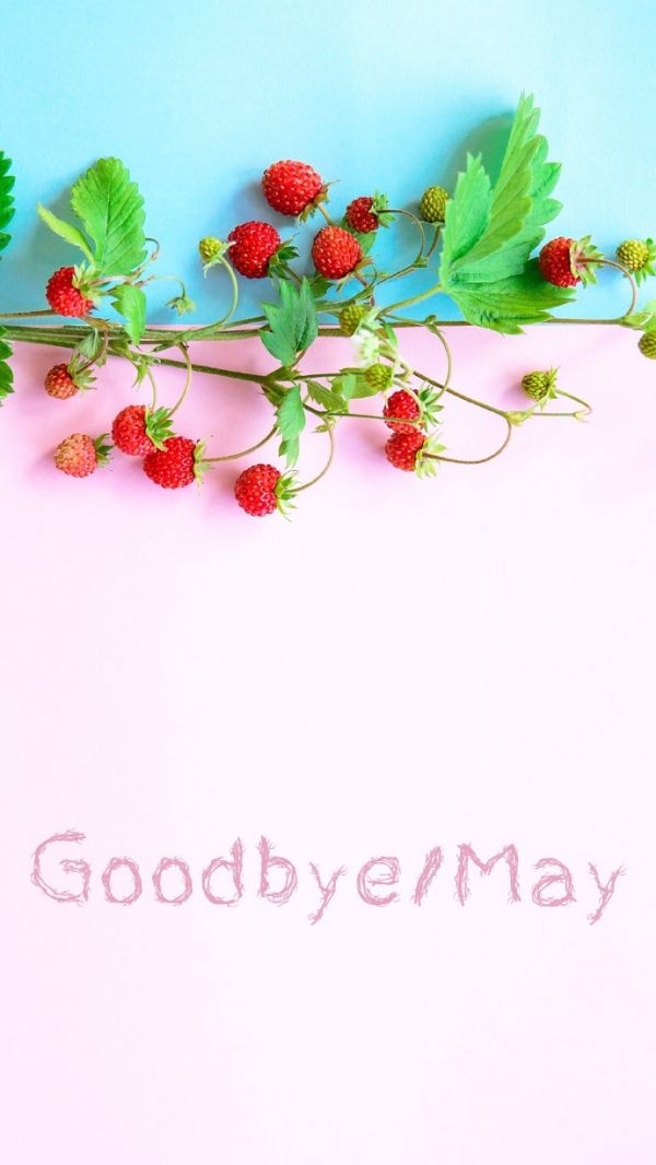 Goodbye   May