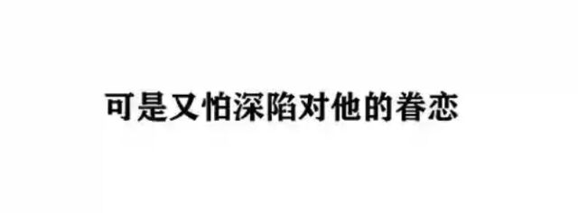 2018，我也会有狗的。