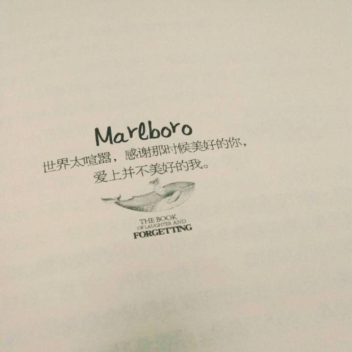 相逢太短不必等茶水凉