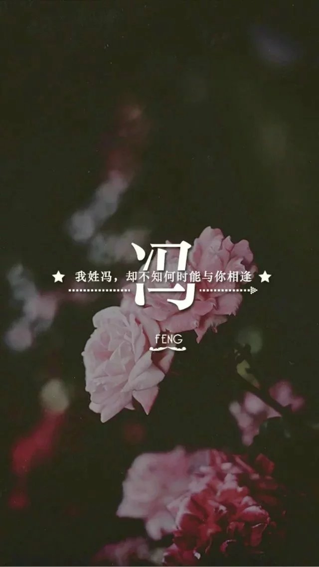 白洛冉：姓氏图