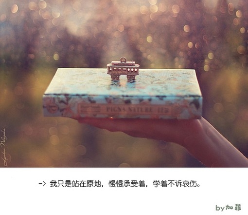 学着承受，学着不诉哀伤