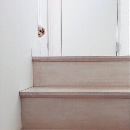 嘿 一起玩捉迷藏吗