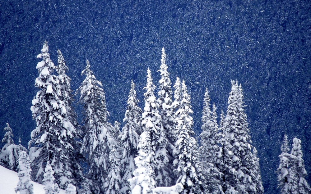 宽屏雪景 第一辑