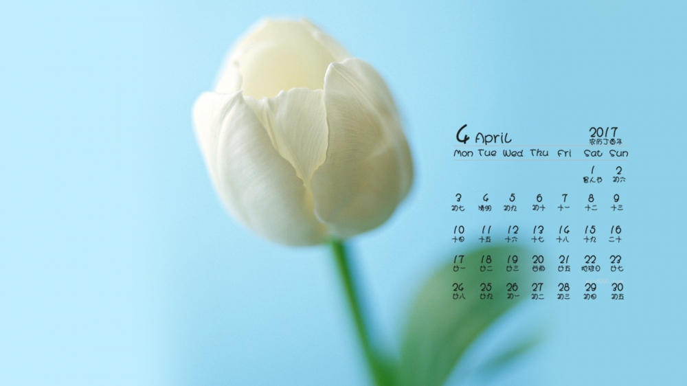 2017年4月唯美的静物摄影桌面日历壁纸