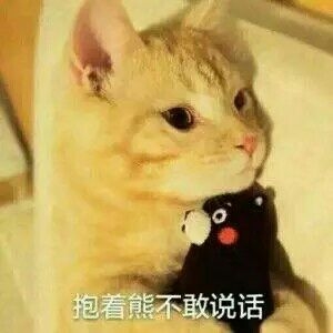 ：天王盖地虎。