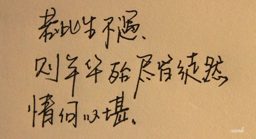 能够引起你的沉思的唯美意境文字图片
