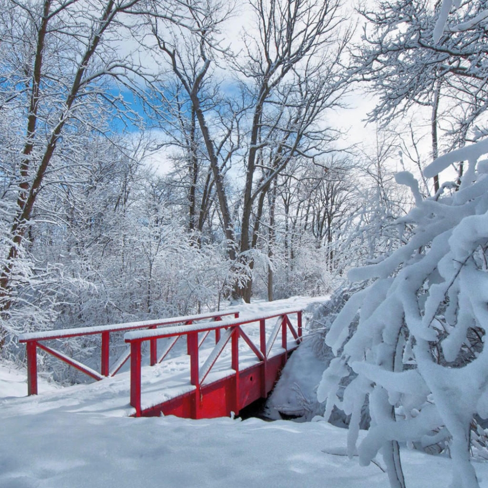 冬季雪景电脑壁纸高清