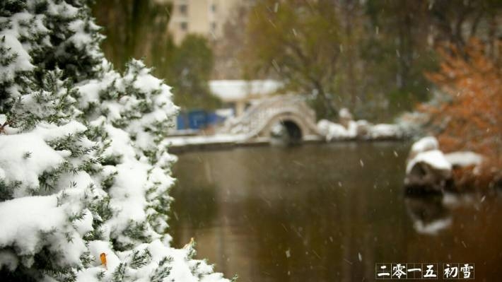 2015杭州西湖初雪摄影电脑壁纸